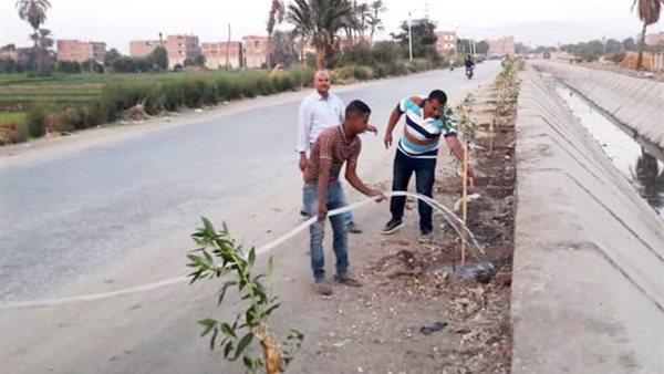 جانب من الحدث