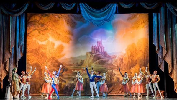 جانب من العروض