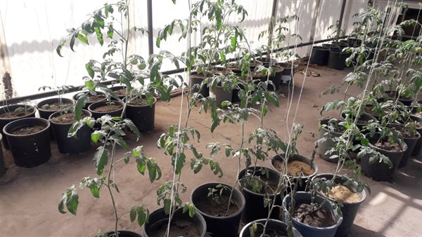 صورة من الحدث