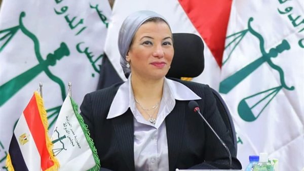 ياسمين فؤاد وزيرة