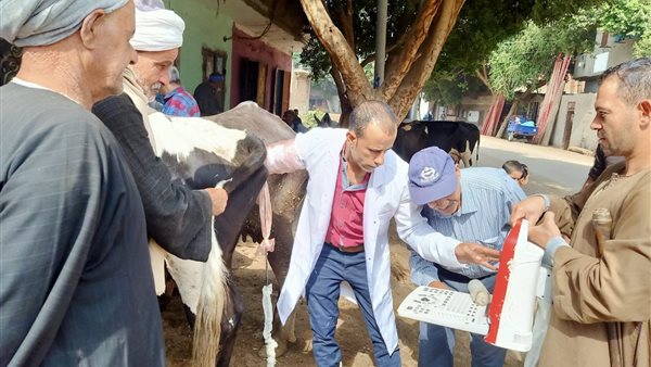 القافلة البيطرية