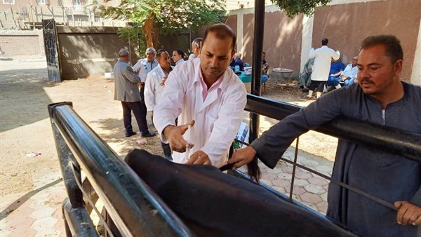 جانب من الحملة القومية