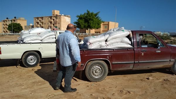 جانب من الحدث