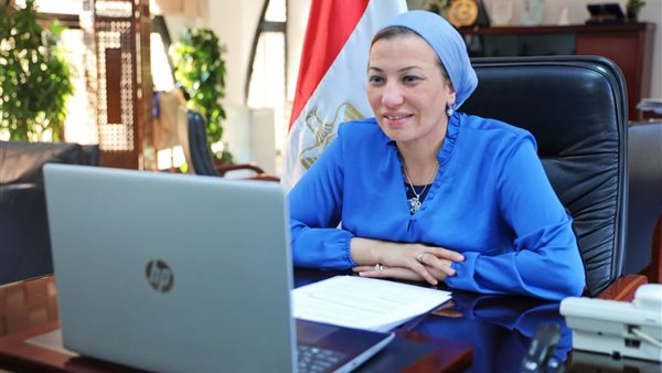 ياسمين فؤاد وزيرة