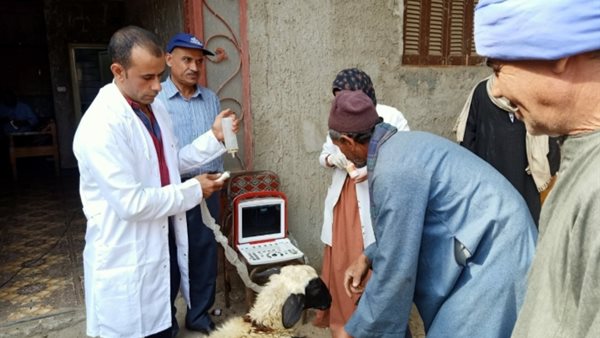 قافلة بيطرية علاجية