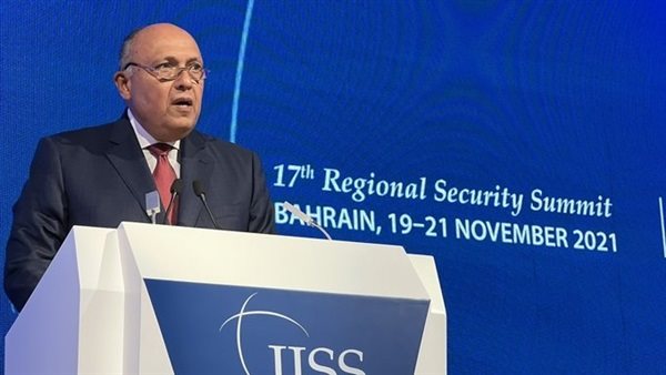 سامح شكري وزير الخارجية