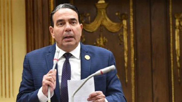 أيمن ابو العلا، وكيل