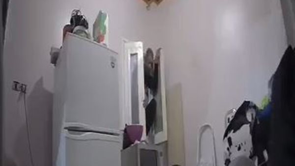 صورة من الحدث