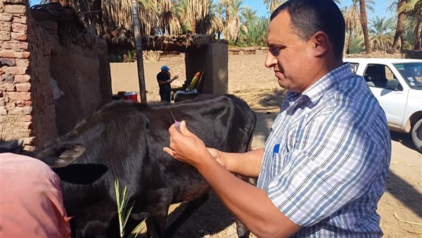 جانب من الحدث