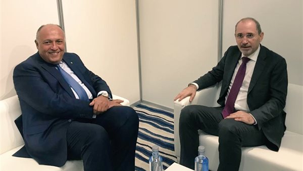 سامح شكري، والسفير