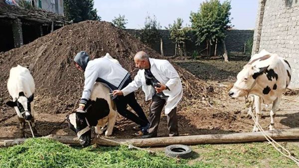 صورة من الحدث