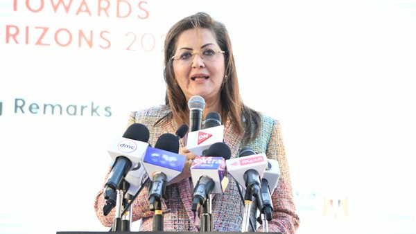 وزيرة التخطيط 