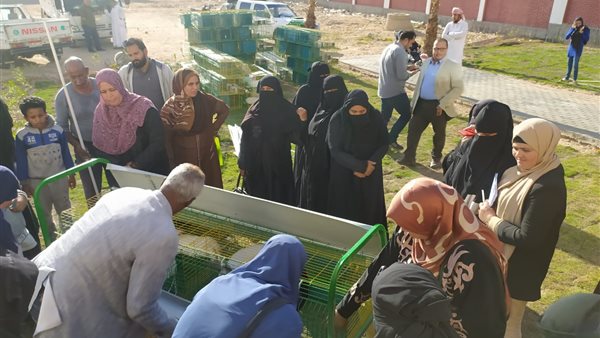 جانب من الحدث