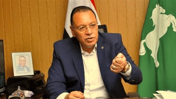 محافظ الشرقية 