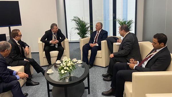 لقاء وزير الرى ونظرائه