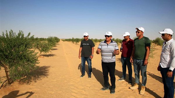 المشروع القومي 1.5