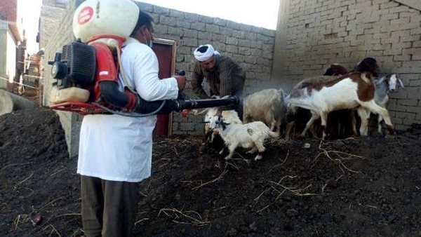 صورة من الحدث