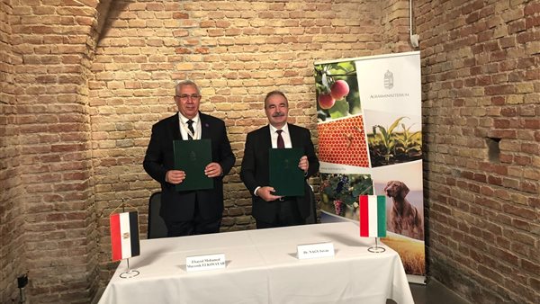 صورة من الحدث