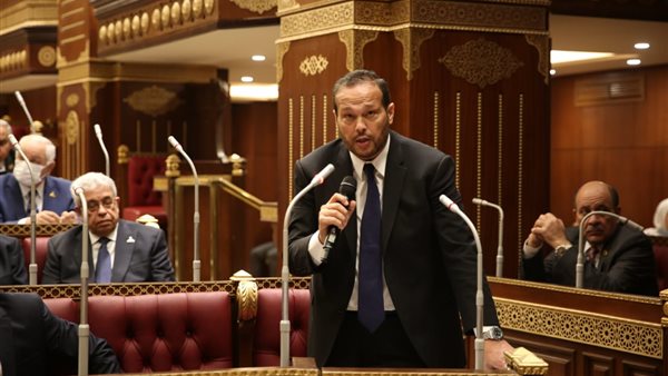 النائب محمد حلاوة