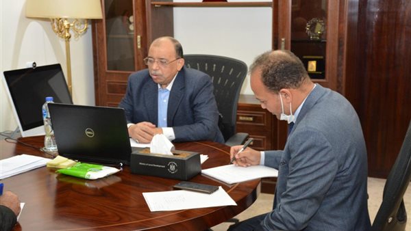 محمود شعراوى وزير