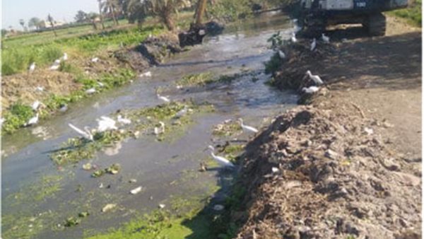 جانب من عمليات الازالة