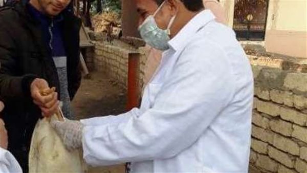 صورة من الحدث