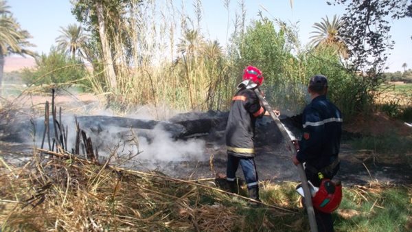 صورة ارشيفيه