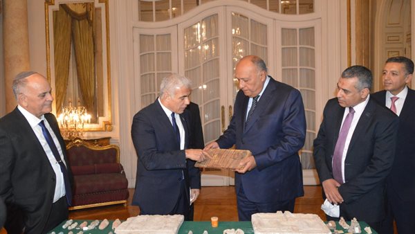 وزيرا خارجية مصر