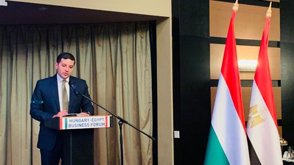  المستشار محمد عبد