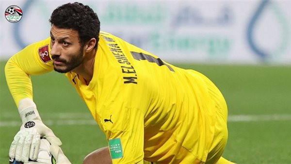 محمد الشناوي