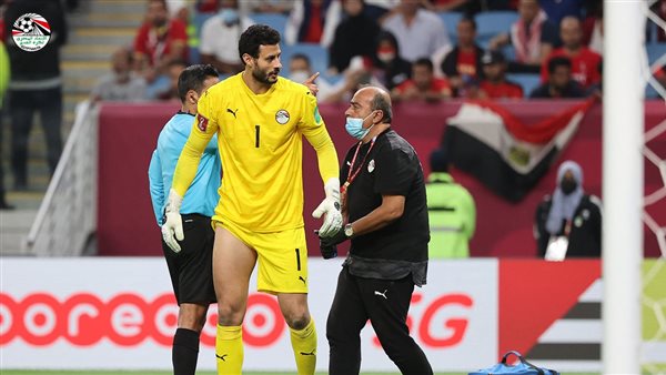 محمد الشناوي