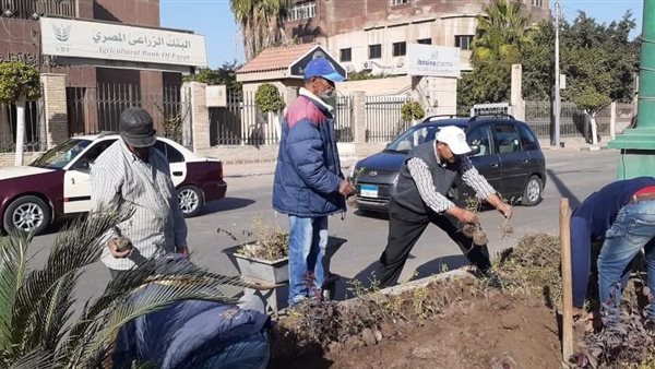 جانب من اعمال التشجير