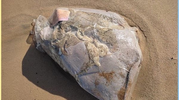 صورة لأحد أكياس اللحم