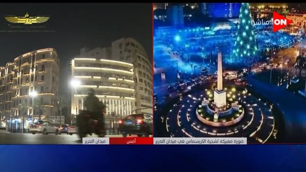 الصورة المتداولة