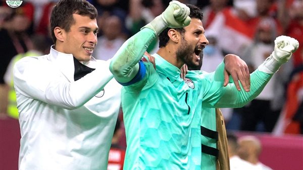 محمد الشناوي