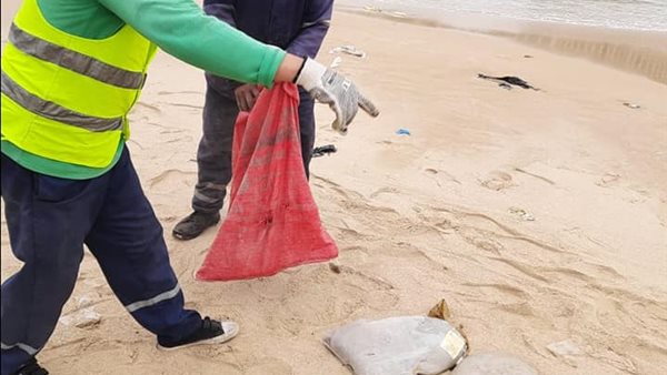 جانب من دفن اللحوم