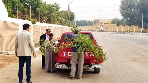 صورة من الحملة