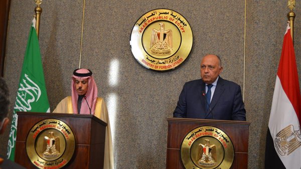 وزيرا خارجية مصر