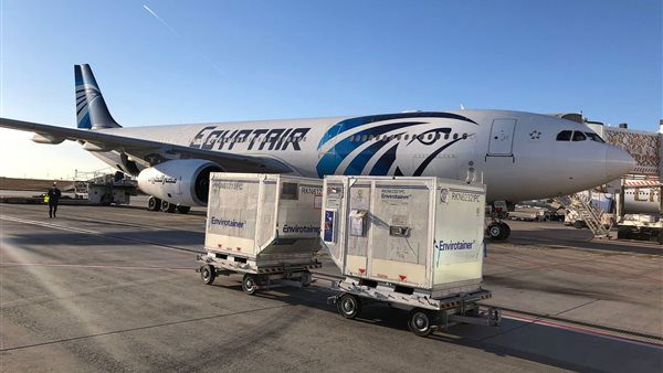 صورة من عملية الشحن