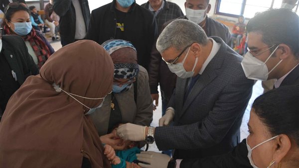 محافظ المنيا