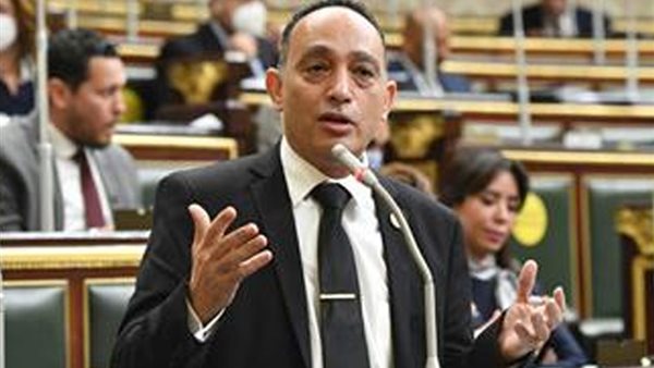 النائب فريدي البياضي