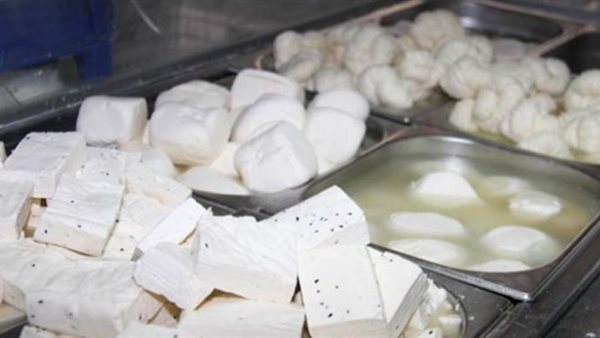 غش الجبن والألبان