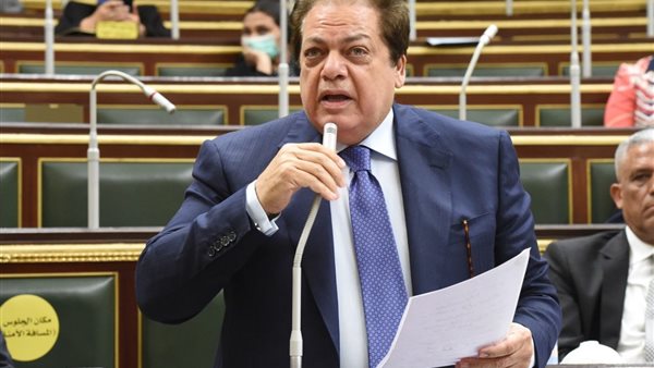 النائب محمد ابو العينين،