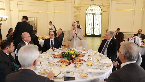 ياسمين فؤاد وزيرة