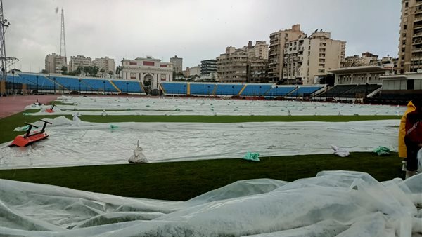 استاد الاسكندرية