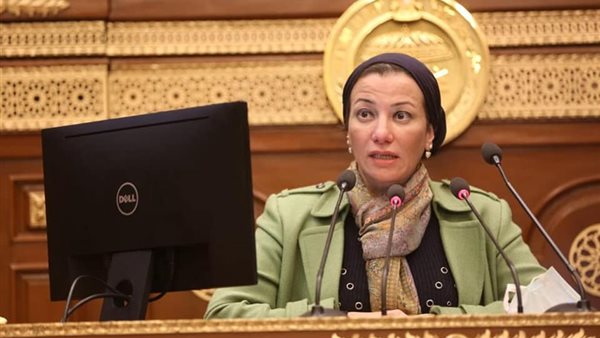 ياسمين فؤاد وزيرة