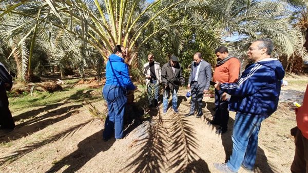 جانب من حملات المكافحة