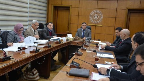 محافظ الدقهلية خلال