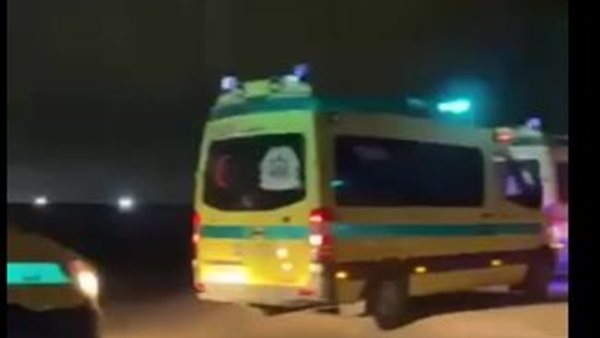 صورة ارشيفيه