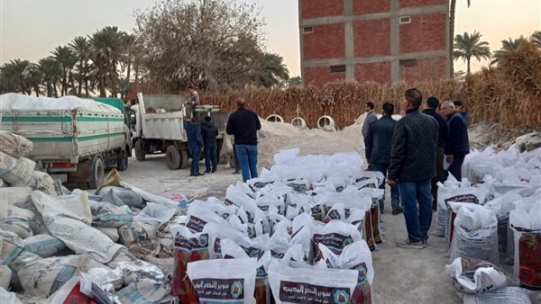 صورة من عملية الضبط